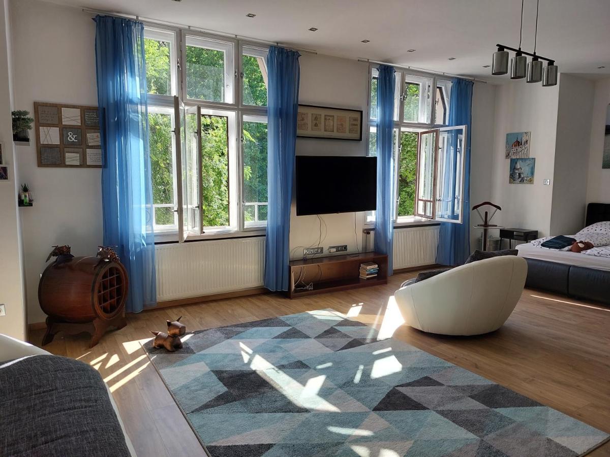 Sunny Studio At The Castle บูดาเปสต์ ภายนอก รูปภาพ